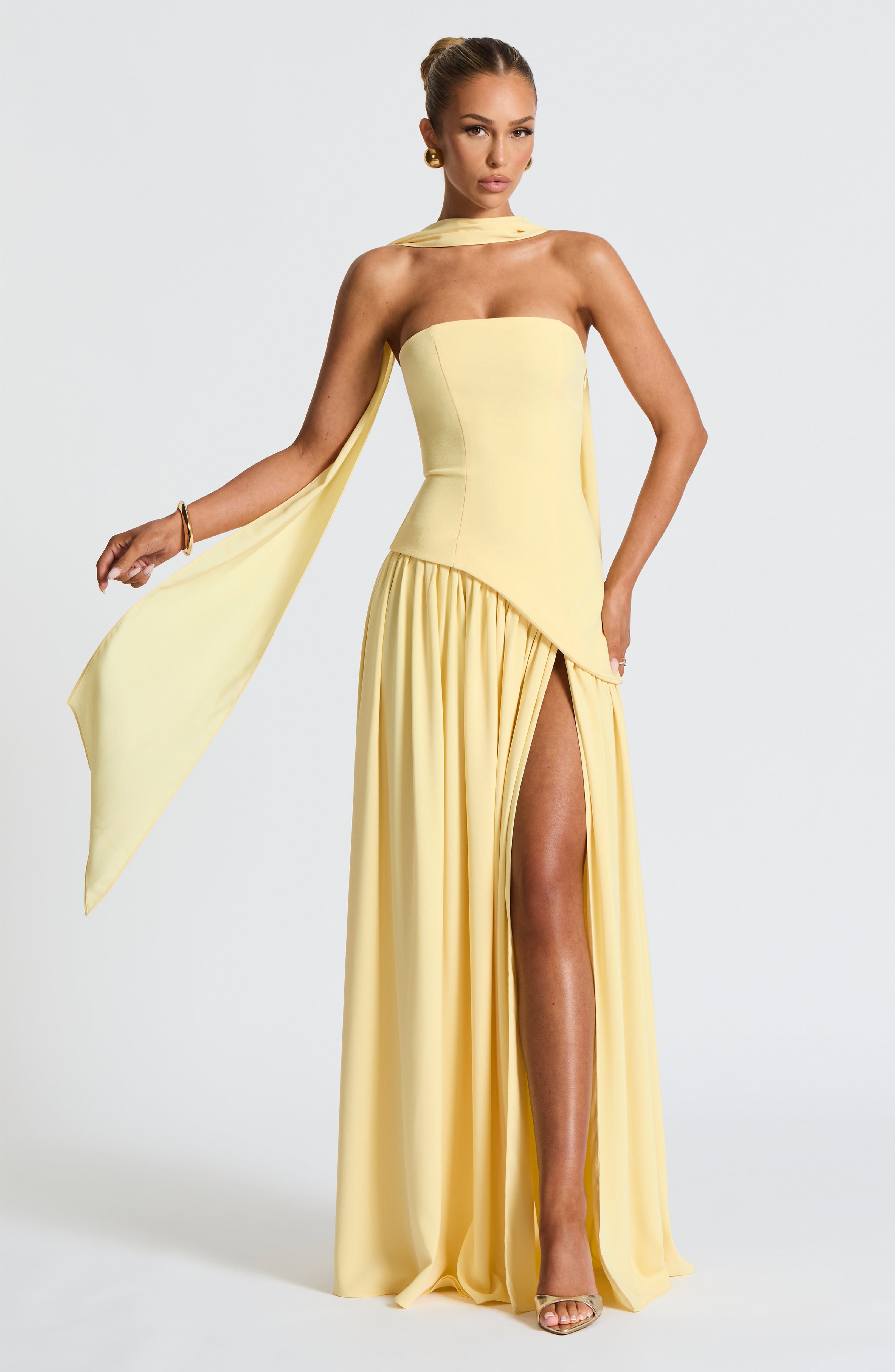 Isabella | Bold Silhouette Gown